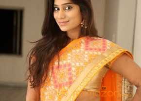  Midhuna Saree Stills  photo 12