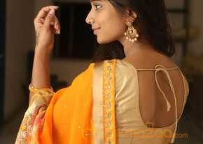  Midhuna Saree Stills  photo 4