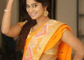  Midhuna Saree Stills  photo 9