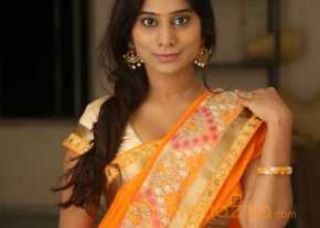  Midhuna Saree Stills  photo 6