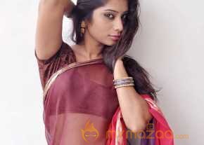  Midhuna Saree Stills  photo 13