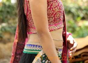 Mohitha Lehenga Choli Dress Pics photo 13