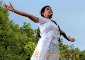 Monal Gajjar Wedding Saree Photoshoot photo 5
