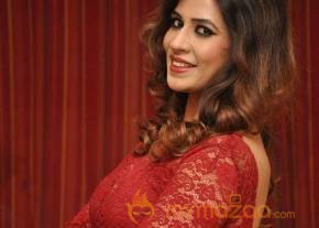 Nandinee Gupta photo 22