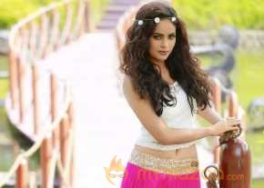 Nandita Swetha Glamorous Photos photo 3
