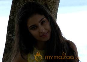 Navneet Kaur Dhillon Latest Photos photo 19