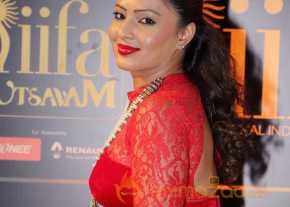 Nikesha Patel Latest Stills photo 6