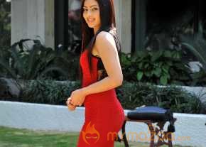  Nikesha Patel  photo 12