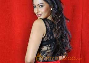  Nikesha Patel  photo 9