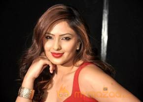 Nikisha Patel Latest Photo Shoot photo 3