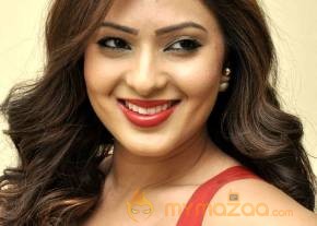 Nikisha Patel Latest Photo Shoot photo 18