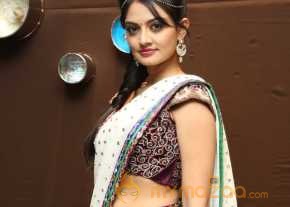  Nikitha Narayan  photo 9