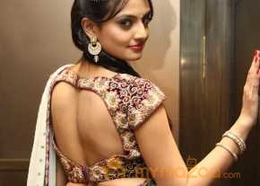  Nikitha Narayan  photo 4