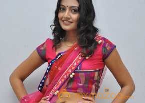  Nikitha Narayan  photo 20