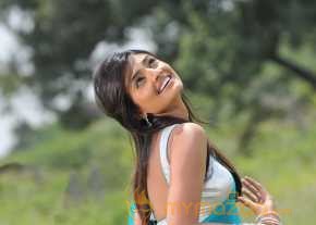  Nikitha Narayan  photo 17