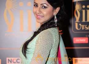  Nikki Galrani  photo 8