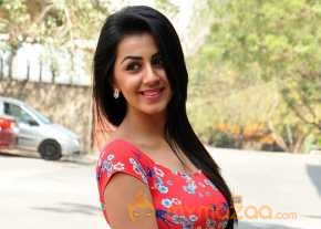  Nikki Galrani  photo 11
