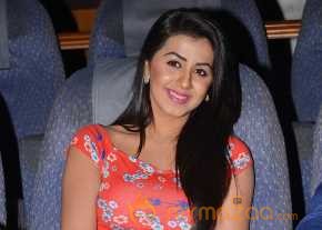  Nikki Galrani  photo 10