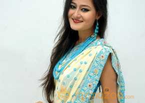 Nilofer Haidry Cream Color Saree Pics photo 3
