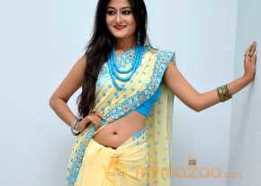Nilofer Haidry Cream Color Saree Pics