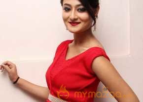  Nilofer Haidry New Pics  photo 9