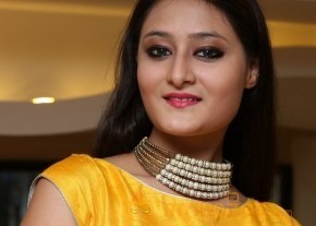 Nilofer Sexy Navel Hot Yellow Dress Pics photo 22