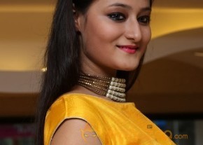 Nilofer Sexy Navel Hot Yellow Dress Pics photo 26