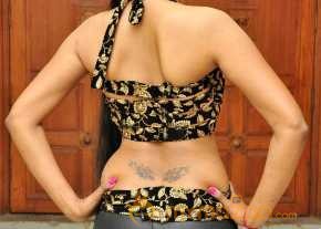 Nisha Photoshoot At Bhale Manchi Roju Movie Audio Launch photo 15
