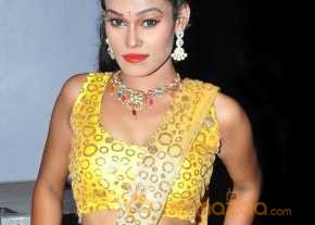  Nisha Photoshoot At Eedorakam Aadorakam Movie Audio Launch  photo 4