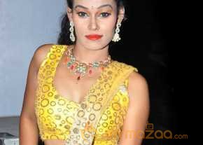 Nisha Photoshoot At Eedorakam Aadorakam Movie Audio Launch  photo 9