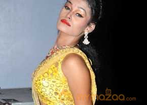  Nisha Photoshoot At Eedorakam Aadorakam Movie Audio Launch  photo 10