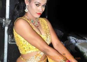  Nisha Photoshoot At Eedorakam Aadorakam Movie Audio Launch  photo 2