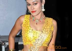  Nisha Photoshoot At Eedorakam Aadorakam Movie Audio Launch  photo 8