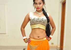 Nisha Photoshoot At Krishna Gadi Veera Prema Gadha Movie Audio Launch photo 14