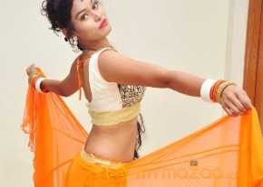 Nisha Photoshoot At Krishna Gadi Veera Prema Gadha Movie Audio Launch photo 10