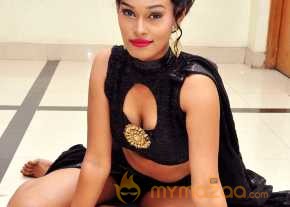 Nisha Photoshoot At Krishna Gadi Veera Prema Gadha Movie Audio Launch photo 6