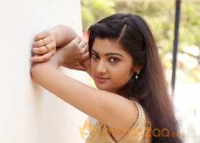  Pallavi Naidu New Photoshoot  photo 5