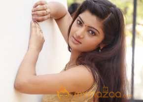  Pallavi Naidu New Photoshoot  photo 11