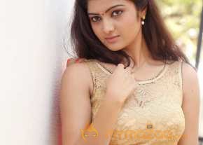  Pallavi Naidu New Photoshoot  photo 17