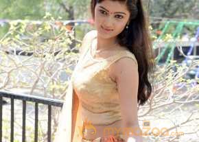 Pallavi Naidu New Photoshoot  photo 8