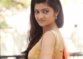  Pallavi Naidu New Photoshoot  photo 14