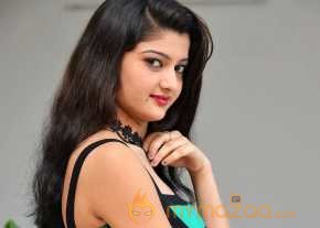  Pallavi Naidu Photoshoot  photo 11