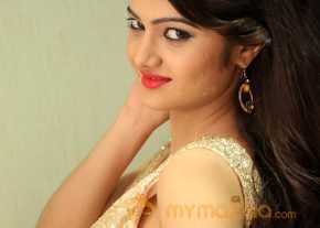 Pallavi Naidu Photoshoot At Seethamma Andalu Ramayya Sitralu Audio Launch photo 12