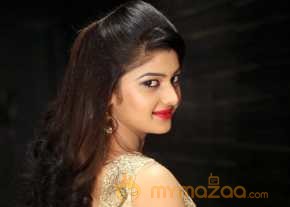 Pallavi Naidu Photoshoot At Seethamma Andalu Ramayya Sitralu Audio Launch