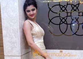 Pallavi Naidu Photoshoot At Seethamma Andalu Ramayya Sitralu Audio Launch photo 2