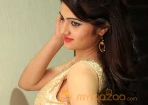 Pallavi Naidu Photoshoot At Seethamma Andalu Ramayya Sitralu Audio Launch photo 9