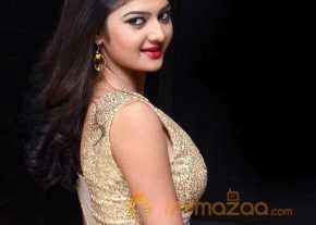 Pallavi Naidu Photoshoot At Seethamma Andalu Ramayya Sitralu Audio Launch photo 5