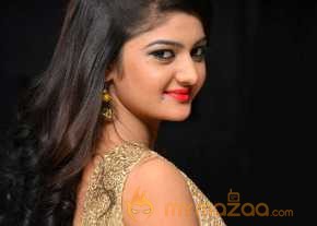 Pallavi Naidu Photoshoot At Seethamma Andalu Ramayya Sitralu Audio Launch photo 8