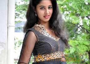 Pavani Reddy Photo Shoot At Dongata Press Meet