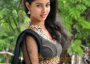  Pavani Reddy Photo Shoot At Dongata Press Meet  photo 2